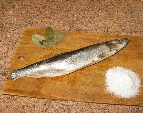 Сельдь соленая в домашних условиях - как быстро солить рыбу 1