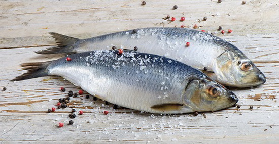 Сельдь соленая в домашних условиях - как быстро солить рыбу 2